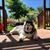 Barbara Albright Scott's profile image