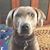 Bonnie Clanin's profile image