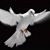 Geri Anderson's profile image