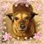 Christy Hesseltine McNeley's profile image