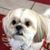 Annette Burk's profile image