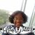 Lorraine Gaillard's profile image