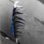 David Rozelle's profile image