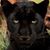 Betty Holman's profile image
