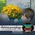 Linda Temple Forman's profile image