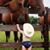 Dana Thompson's profile image