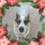 Tami Poore's profile image