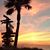 Tammy Krahn's profile image