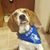 Jennifer Tobin Curran's profile image