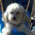 Suzanne Lynda Buckler's profile image
