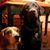 Dina Sheridan McConville's profile image