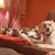 Kathy Liston Kelley's profile image