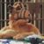 Tracy Wienecke's profile image