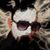Кдел Перес's profile image
