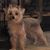 Ann Tottingham Maccani's profile image