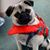 Melissa McEwen Sibbersen's profile image