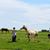 Josie Mundy's profile image