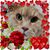 Mary Scardullo's profile image