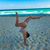 Jill Hawanchak Juenger's profile image