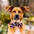 Catron Enloe's profile image