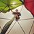 Brion Spensieri's profile image