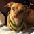 Sandra Mahler Medina's profile image