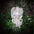 Tracey Piazza's profile image