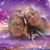 Rosario Balderas's profile image