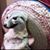 John Escandon's profile image