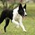 Jackie Bludworth's profile image