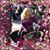 Nance Sloan Mercado's profile image