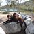 Maria Amores Frischknecht's profile image
