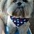 Laura Jeanne Miller's profile image