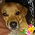 Tywana Paret's profile image