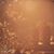 Thuan Pham's profile image