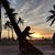 Salwa Mourad Adra's profile image