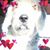 Sheryl Stout's profile image