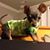 Kaye Simpson's profile image