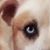 Sheryl L Dupuis's profile image