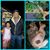 Jennifer Ishler-Dayvolt's profile image
