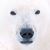 Paula Tollar-Cosgrove's profile image