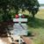 Linda Brian Shull's profile image