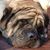Cindy Aguirre's profile image
