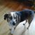 Edie Barbas Mantsavinos's profile image
