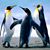 Mary Lou Winterland's profile image