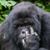 Jo-Anne Jay's profile image
