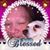 Teresa Joyce's profile image