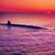 Tom Herschel Hulme's profile image