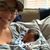 Tracy Williams Atkinson's profile image