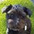 Cindy Storey's profile image